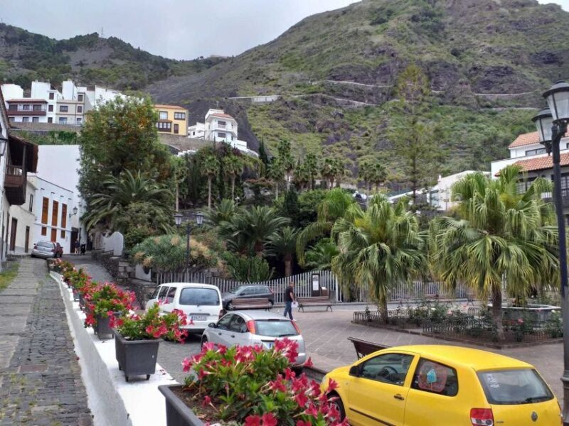 Tenerife: Tenerife Highlights beyond the Teide - Who Should Consider This Tour?