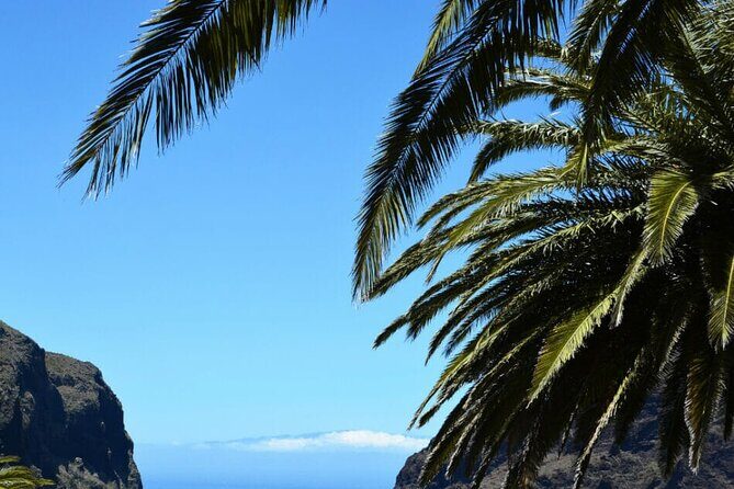 Tenerife Tour Mt. Teide and the Towns of Icod, Garachico, Masca - Final Thoughts