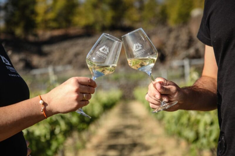 Tenerife: Tour of an Organic Vineyard with Tasting & Snacks - Who Should Consider This Tour?