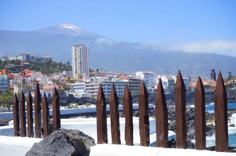 Tenerife: Trip to Puerto de la Cruz - Who is this tour best suited for?