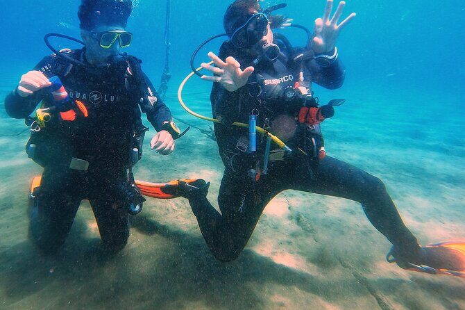 Tenerife Under The Sea - dive into 1-1 personalised experience - Key Points