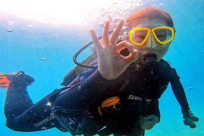 Tenerife Under The Sea - dive into 1-1 personalised experience - Who Will Love This Experience?