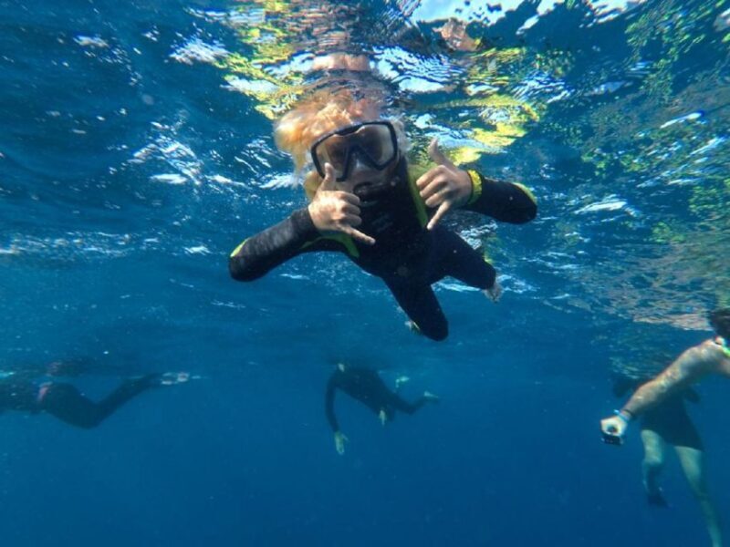 Tenerife: Underwater Lava Tongues Snorkel Excursion - Tenerife: Underwater Lava Tongues Snorkel Excursion – A Deep Dive into Volcanic Beauty