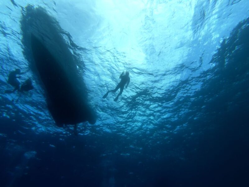 Tenerife: Underwater Lava Tongues Snorkel Excursion - Final Thoughts: Is This the Right Experience for You?