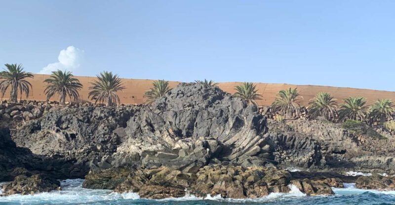 Tenerife: Underwater Lava Tongues Snorkel Excursion - Frequently Asked Questions