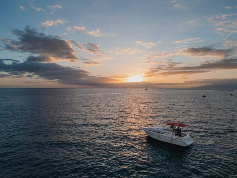 Tenerife: VIP 3 hour Private Luxury Boat Charter Experience - The Experience in Detail