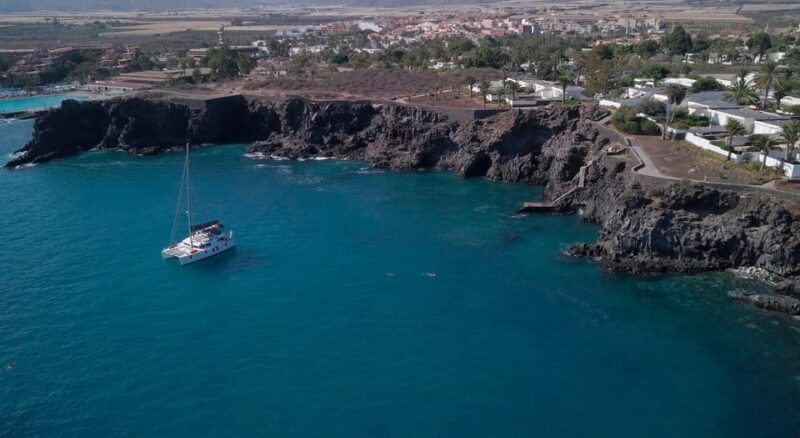 Tenerife: Whale and Dolphin Watching Boat Tour - Tenerife: Whale and Dolphin Watching Boat Tour