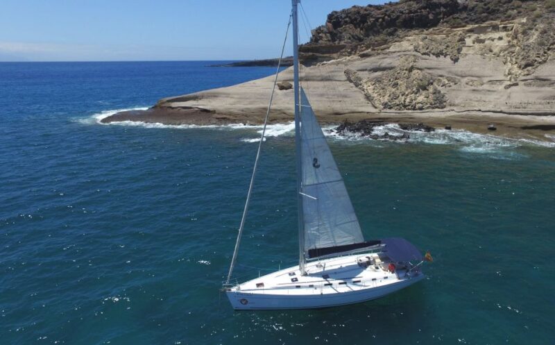 Tenerife: Whale and Dolphin Watching Tour by Sailboat - Who Will Love This Tour?
