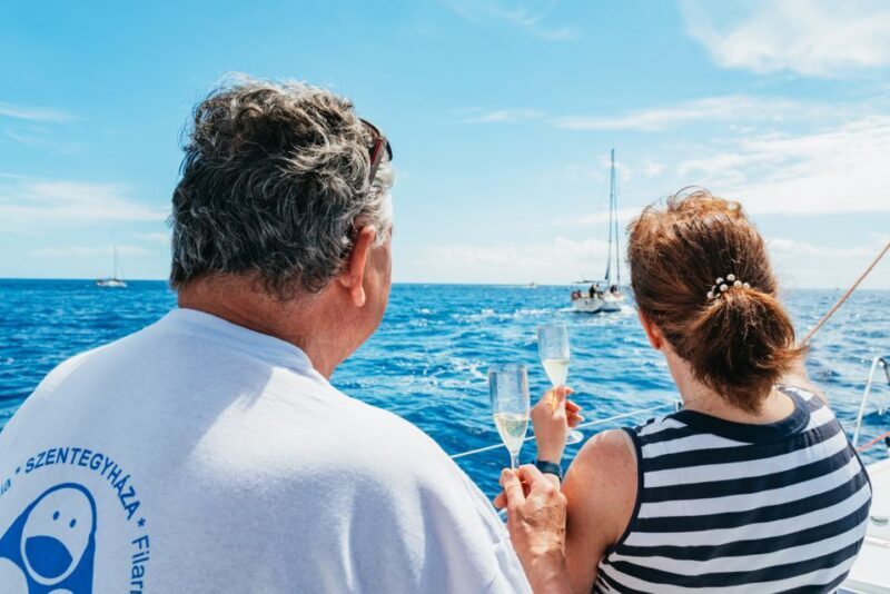 Tenerife: Whale & Dolphin Watching with Drinks and Snacks - What You Can Expect Onboard