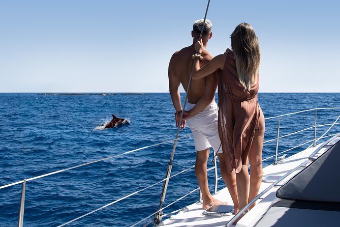Tenerife Whale watching on private charter - An In-Depth Look at the Tenerife Whale Watching Private Charter