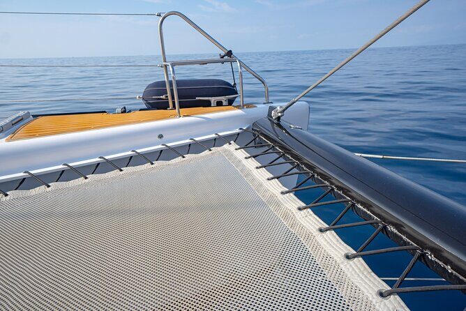 Tenerife Whales and Dolphins Watching Experience in Catamaran - Authentic Feedback from Travelers