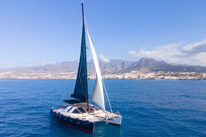 Tenerife Whales and Dolphins Watching Experience in Catamaran - Practical Tips for Travelers