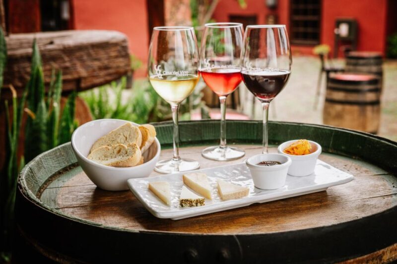 Tenerife: Wine Museum Ticket with Local Wines & Food Tasting - Tenerife: Wine Museum Ticket with Local Wines & Food Tasting — An Authentic Sip of the Island