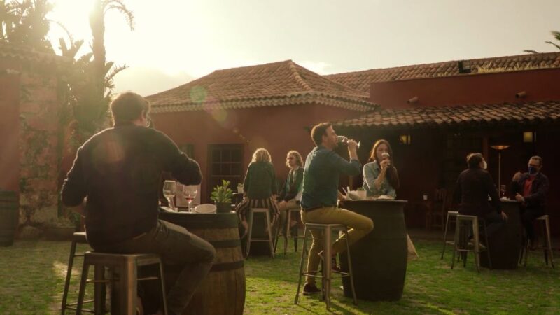 Tenerife: Wine Museum Ticket with Local Wines & Food Tasting - Key Points