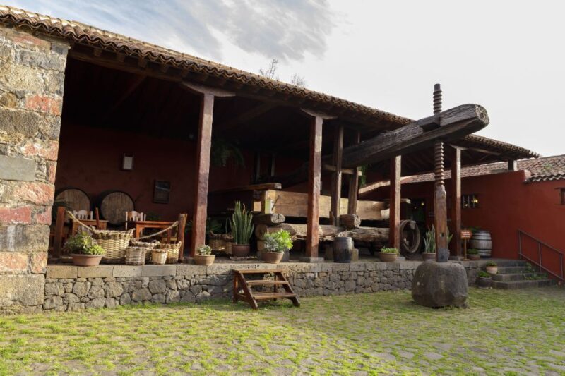 Tenerife: Wine Museum Ticket with Local Wines & Food Tasting - FAQ