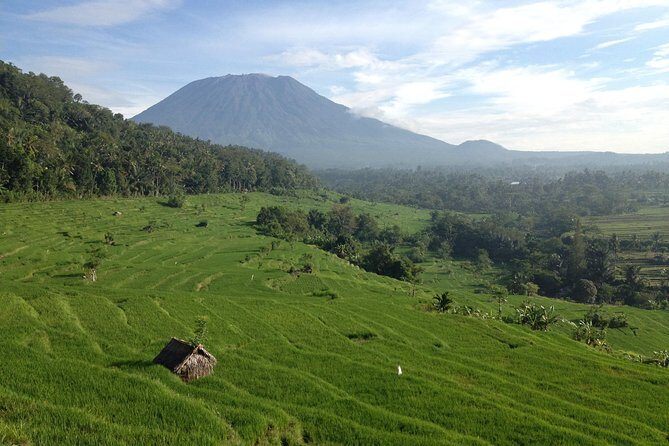 Tenganan Village Rice Field Trekking Tour - A Journey Through Bali’s Green Heart