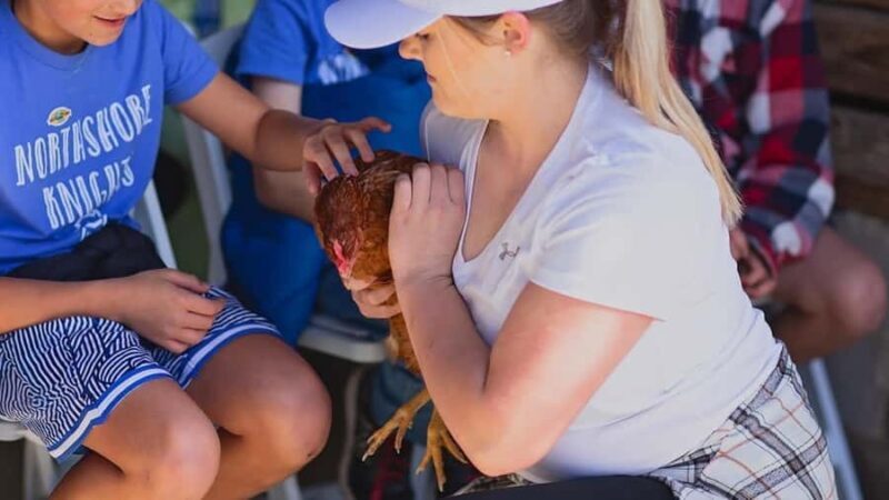 Tennessee: Cedar Pond Farms Feathers & Friends Experience - Experience Tennessee’s Authentic Farm Life with Cedar Pond Farms’ Feathers & Friends