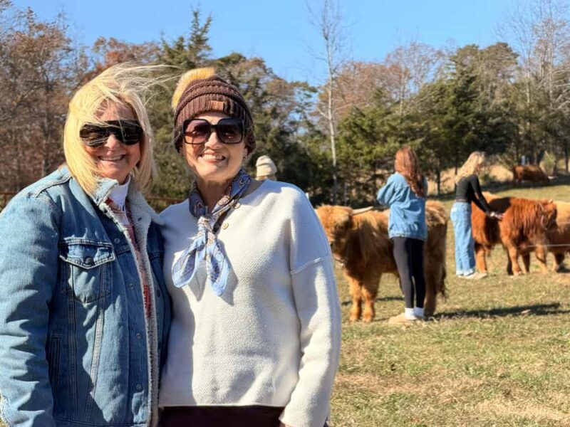 Tennessee: Fluffy Highland Cow Experience + Gelato & Coffee - Discover the Fluffy Highland Cow Experience at Cedar Pond Farms