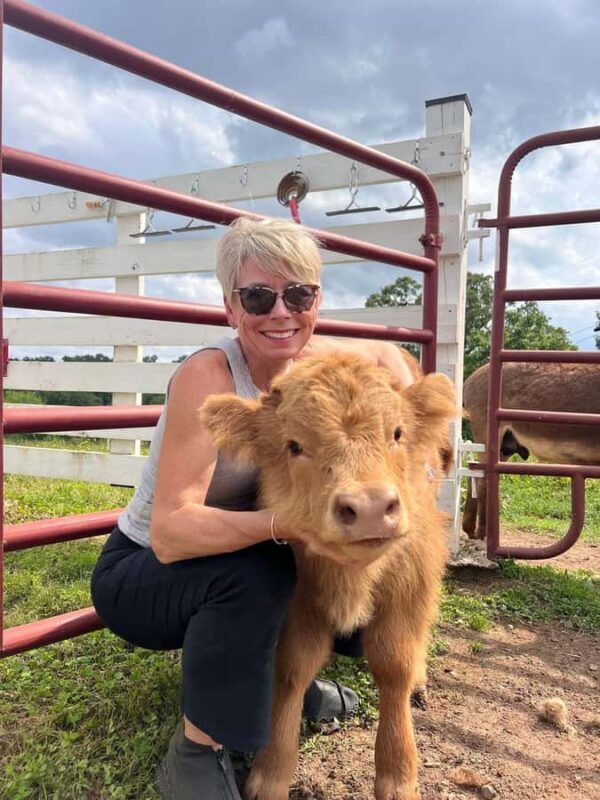 Tennessee: Fluffy Highland Cow Experience + Gelato & Coffee - What Makes This Experience Stand Out?