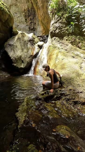 Teno Waterfalls and the Tropical Jungle of Tenerife - Final Thoughts