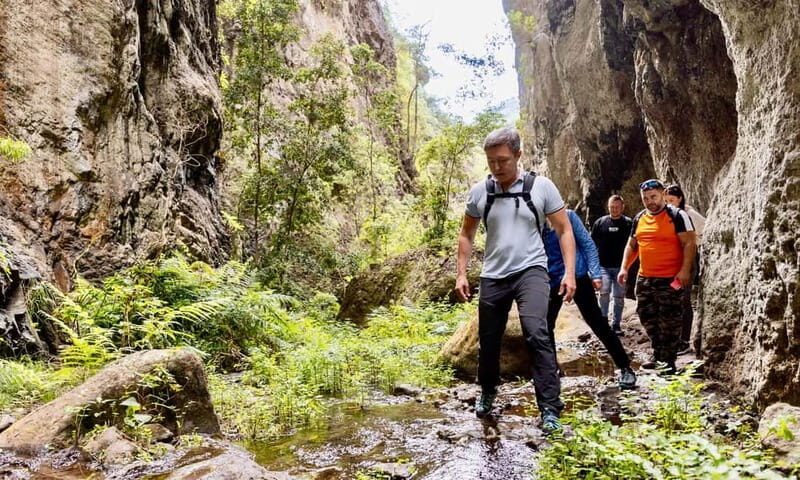 Teno Waterfalls and the Tropical Jungle of Tenerife - FAQ
