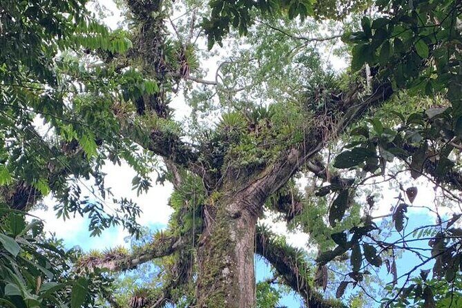 Tenorio Adventure Day Tour - Who Should Enjoy This Tour?