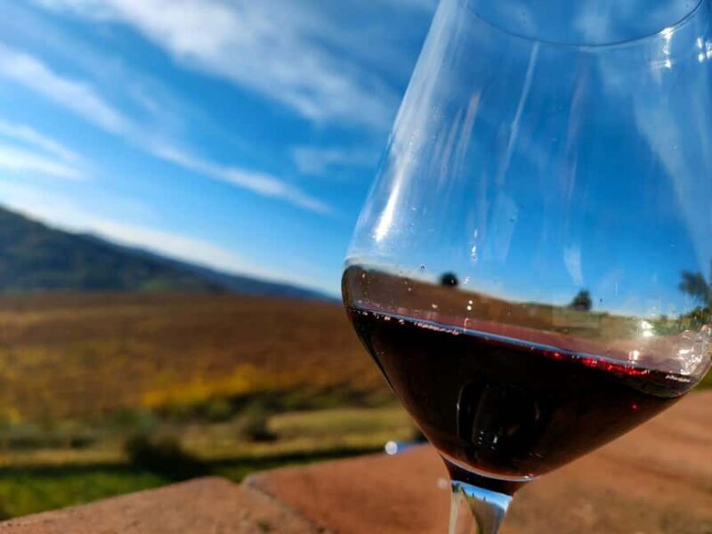 Tenuta Bonzara - Tour and wine tasting in the hills of Bologna - Tenuta Bonzara - Tour and wine tasting in the hills of Bologna