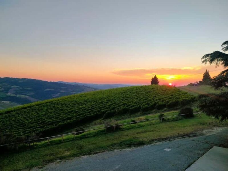 Tenuta Bonzara - Tour and wine tasting in the hills of Bologna - Final thoughts