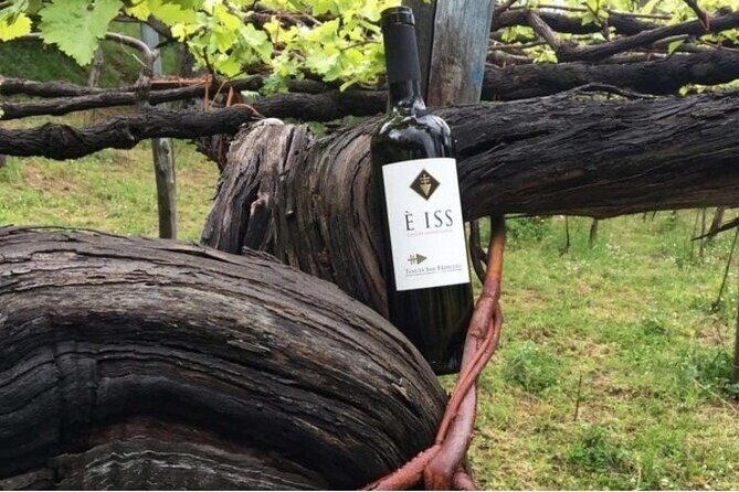 Tenuta San Francesco Wine Tasting - Exploring the Details of the Tenuta San Francesco Wine Tasting