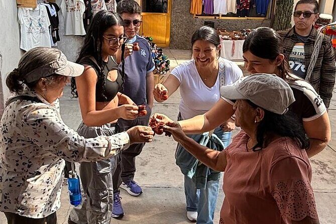 Teotihuacan and Basilica of Guadalupe, 1 to 11 PASSENGERS. - Key Points