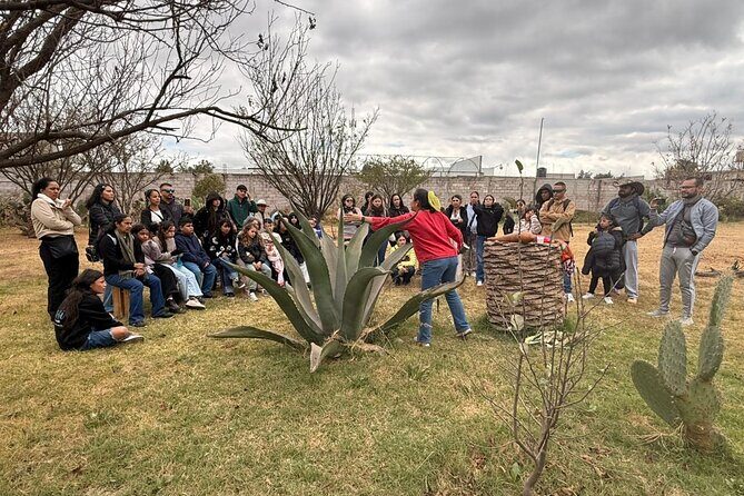 Teotihuacan and Basilica of Guadalupe, 1 to 11 PASSENGERS. - Who Will Love This Tour?