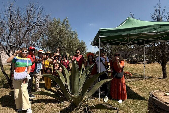 Teotihuacan and Basilica of Guadalupe, 1 to 11 PASSENGERS. - Frequently Asked Questions