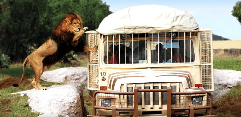 Teotihuacan: Entrance to Animal Kingdom Park; Adventure & Nature - Who Will Benefit from This Experience?