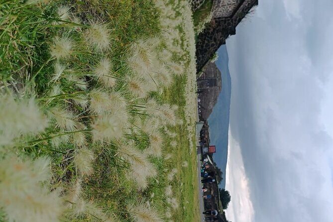 Teotihuacan Pyramids small groups and Basilica of Guadalupe - A Deep Dive into the Experience