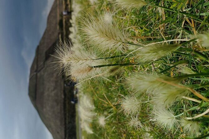 Teotihuacan Pyramids small groups and Basilica of Guadalupe - FAQ