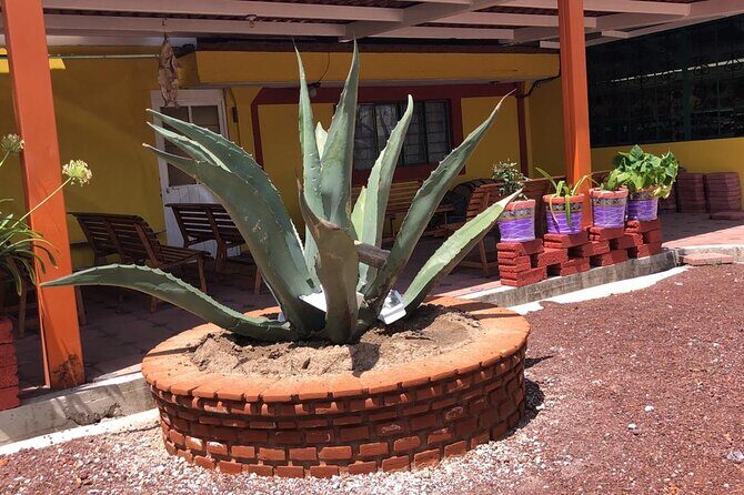 Teotihuacan y Basilica de Guadalupe Private Tour - Who Would Love This Tour?