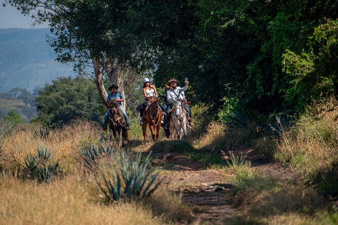 Tequila Agave & Rural Horseback Adventure in El Arenal - Why This Tour Might Be Perfect for You