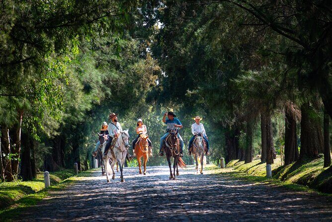 Tequila Agave & Rural Horseback Adventure in El Arenal - FAQs