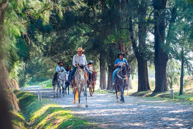 Tequila Agave & Rural Horseback Adventure in El Arenal - Final Thoughts