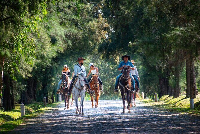 Tequila Agave & Rural Horseback Adventure in El Arenal - Additional Resources