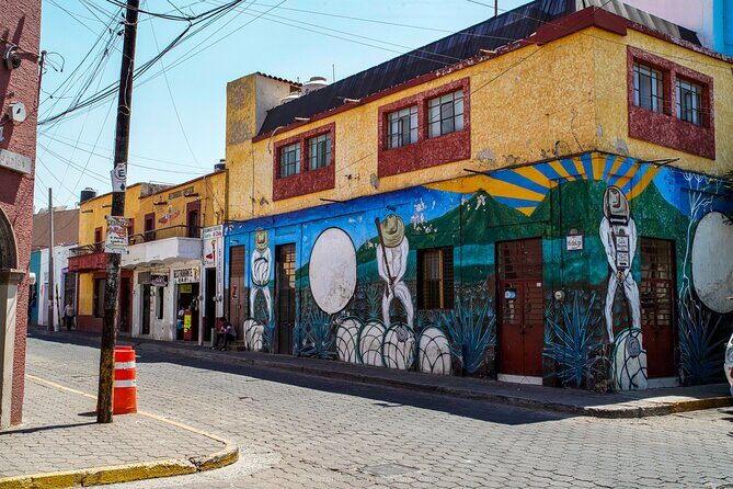 Tequila & Ancient Ruins: Private Day Trip from Puerto Vallarta - Final Thoughts