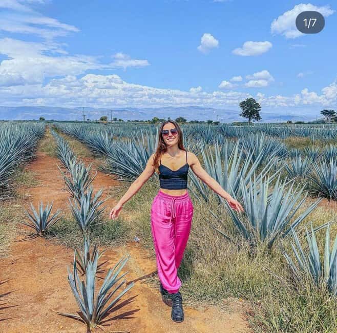 Tequila and Cantaritos Tour from Guadalajara - Authenticity, Value, and Who It’s For
