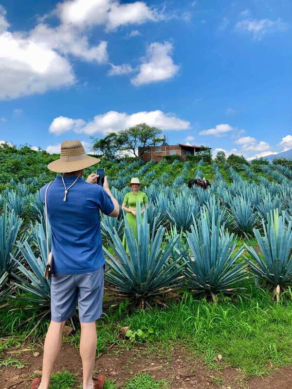Tequila and Guachimontones: Private Full Day Tour - Experience the Best of Jalisco: Private Tequila and Guachimontones Tour