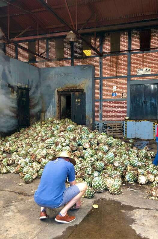 Tequila and Guachimontones: Private Full Day Tour - Frequently Asked Questions