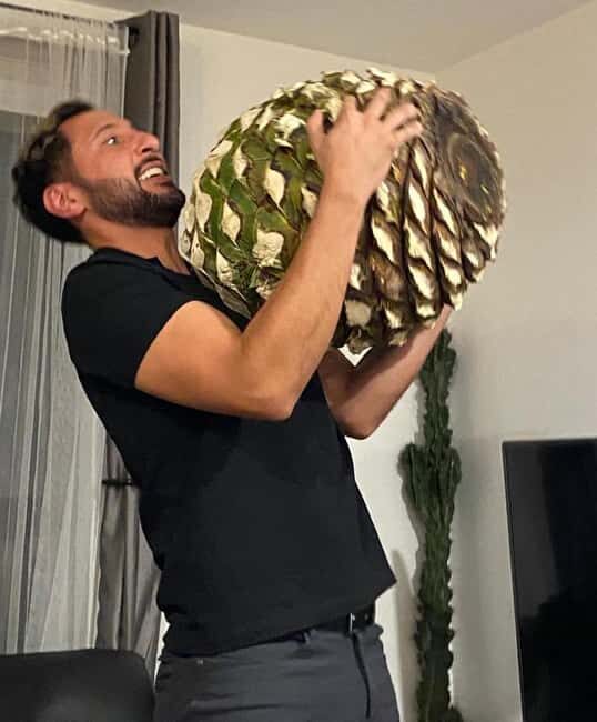 Tequila and Mezcal tasting in an educational tasting room - Key Points