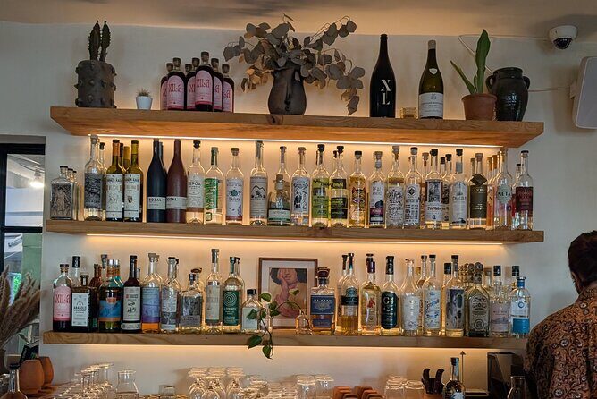 Tequila and Mezcal Tasting in DC - An In-Depth Look at the Experience