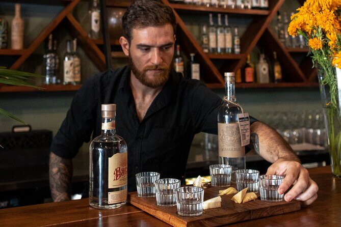 Tequila and Mezcal Tasting in Tulum with Cheese Pairing - Key Points