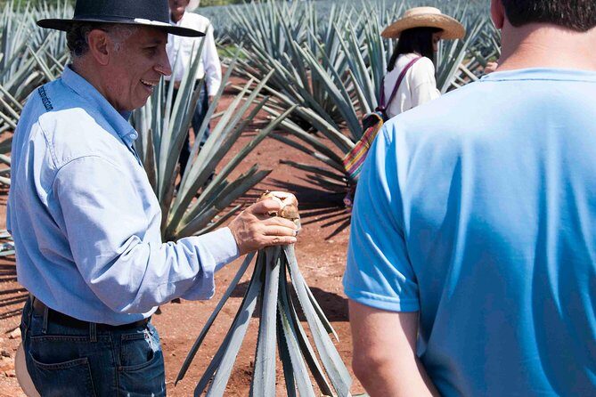 Tequila distillery experience, Jose Cuervo & Tequila Magic Town - Final Thoughts
