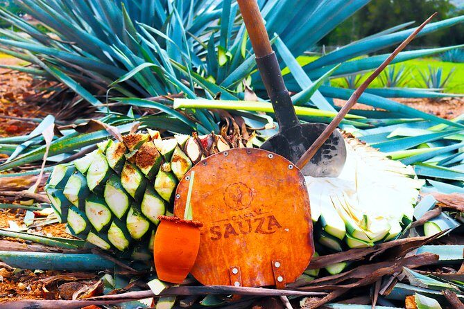 Tequila Express - Experience the Spirit of Mexico on the Tequila Express