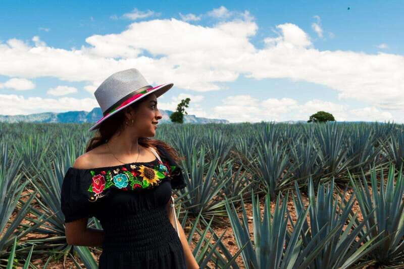 Tequila Full-Day Discovery Tour of Amatitan - An In-Depth Look at the Full-Day Tequila Tour